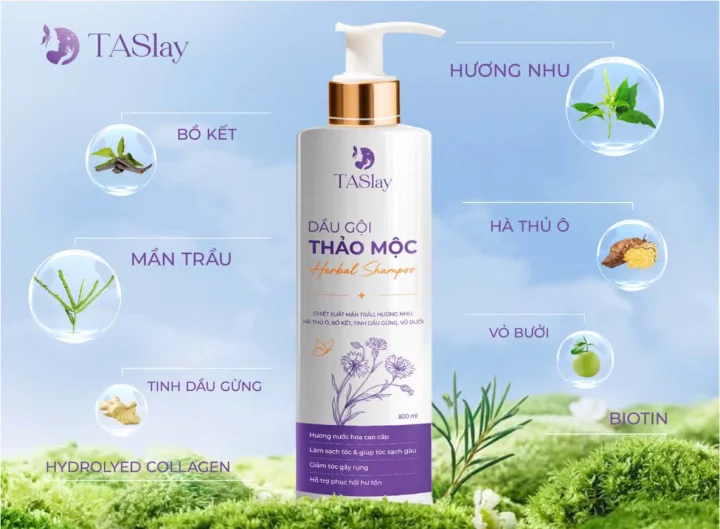 Dầu Gội Thảo Mộc TASlay ( 800ml )